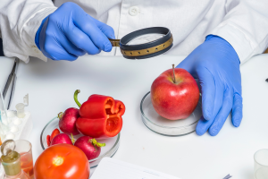 Read more about the article ISO 22000認證增強食品安全，幫助您減少可能的損失