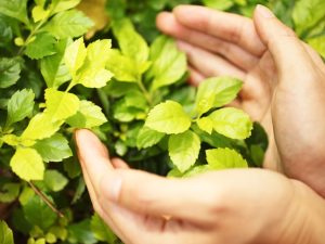 Read more about the article 農業貸款申請輔導怎麼做？農貸計畫書撰寫與文件整理完整指南