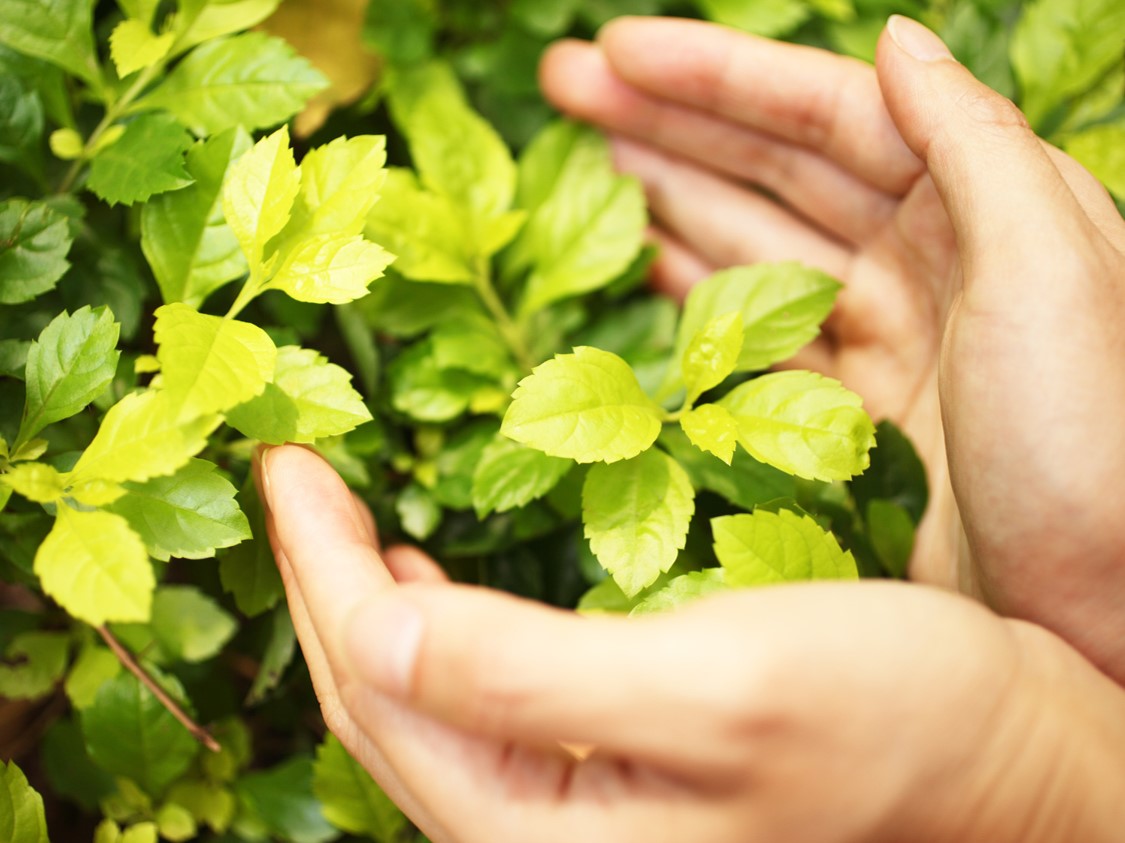 You are currently viewing 農業貸款申請輔導怎麼做？農貸計畫書撰寫與文件整理完整指南